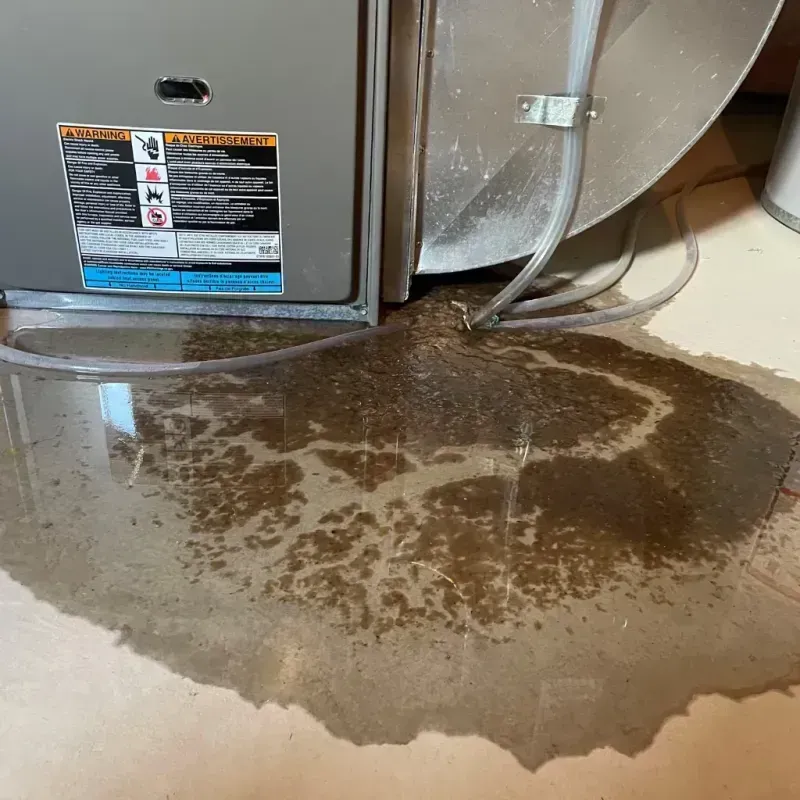 Appliance Leak Cleanup in Spring Hill, KS